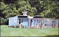 
At the twin-coop country club, the chickens even have their own rose garden. By Paul and Jill Smith, Delaware, Ohio
